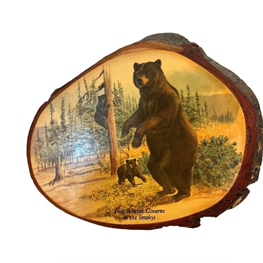 Vintage Tuckaleechee Caverns Wood Slice Bear Plaque Smoky Mountains Decor